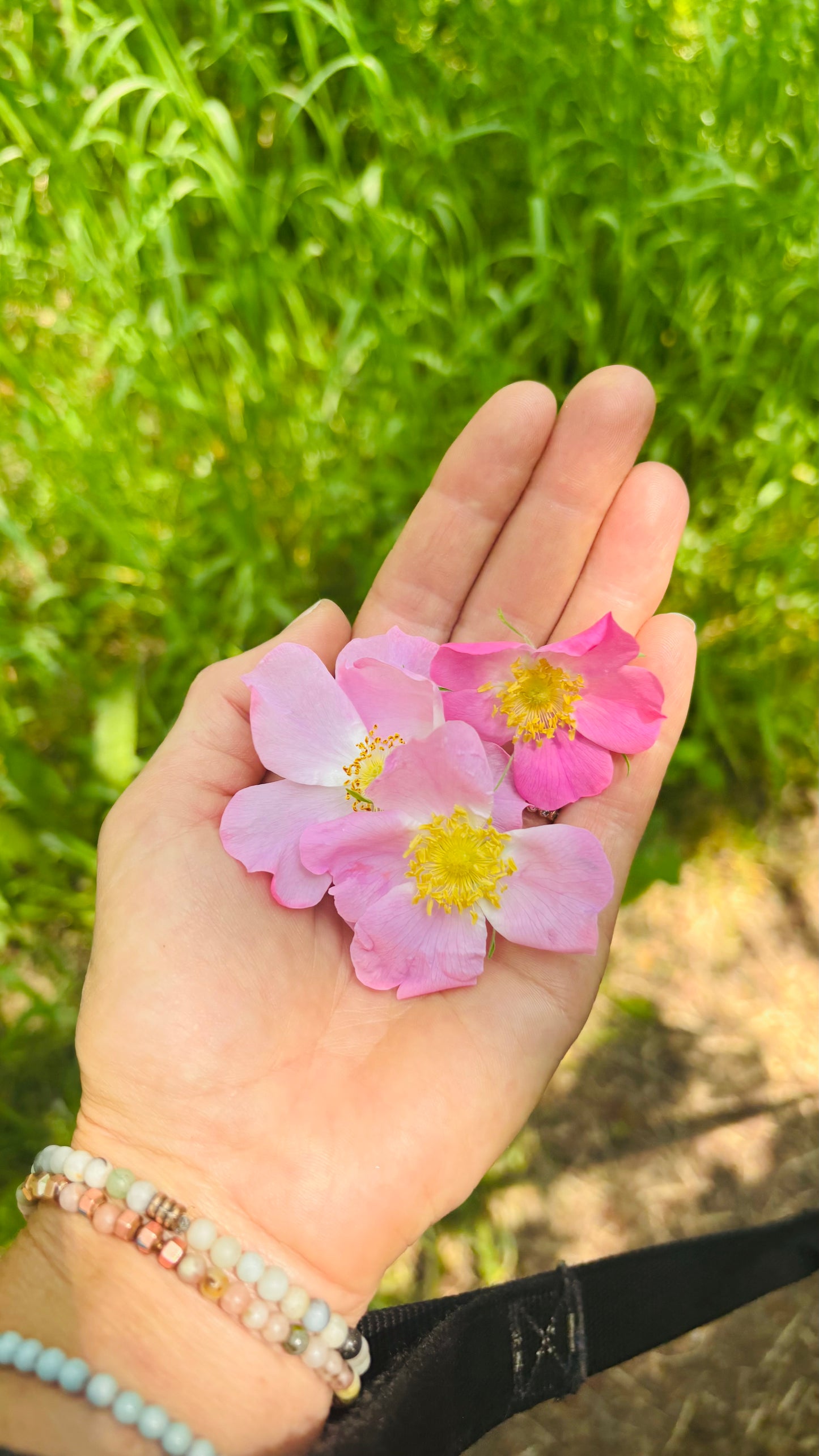 Rose Glow Skincare Bundle